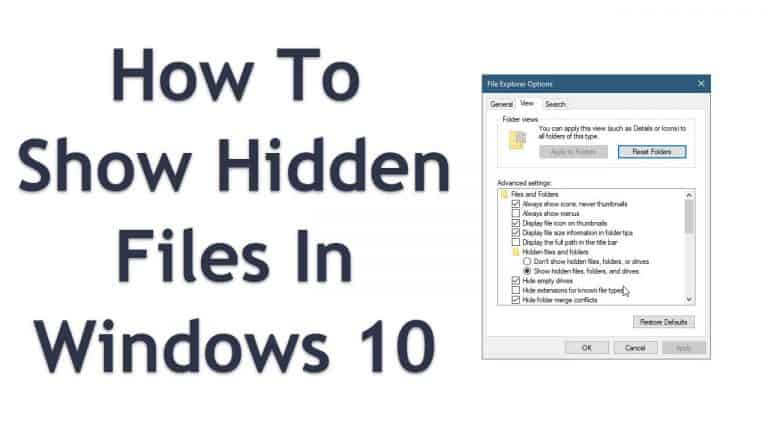 Show Hidden Files