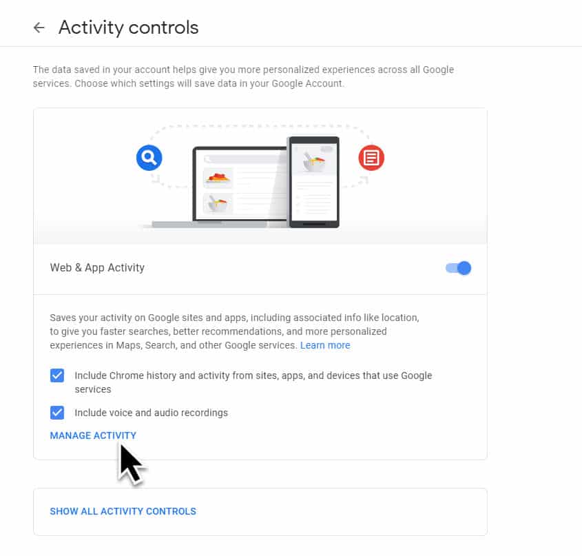 Delete Google Web Activity