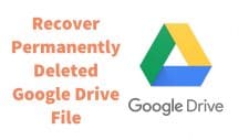 Recover Permanently Deleted Google Drive File