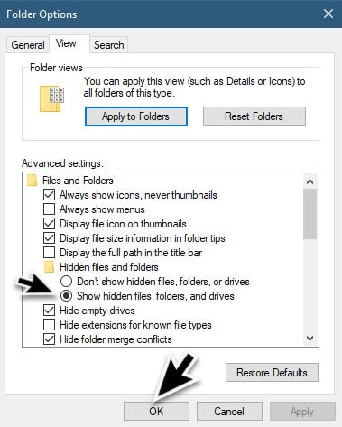 Show Hidden Files