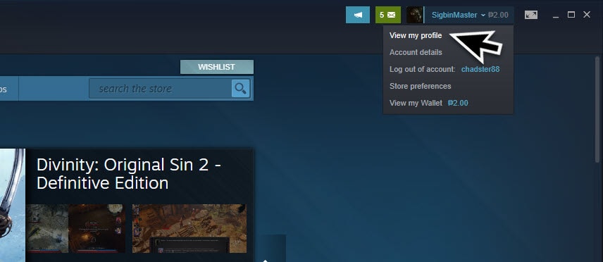 Change Steam Privacy Settings