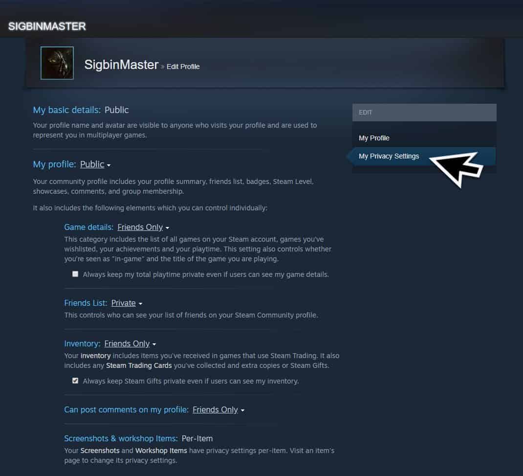 Change Steam Privacy Settings