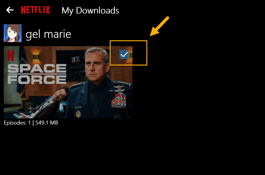 Netflix check icon