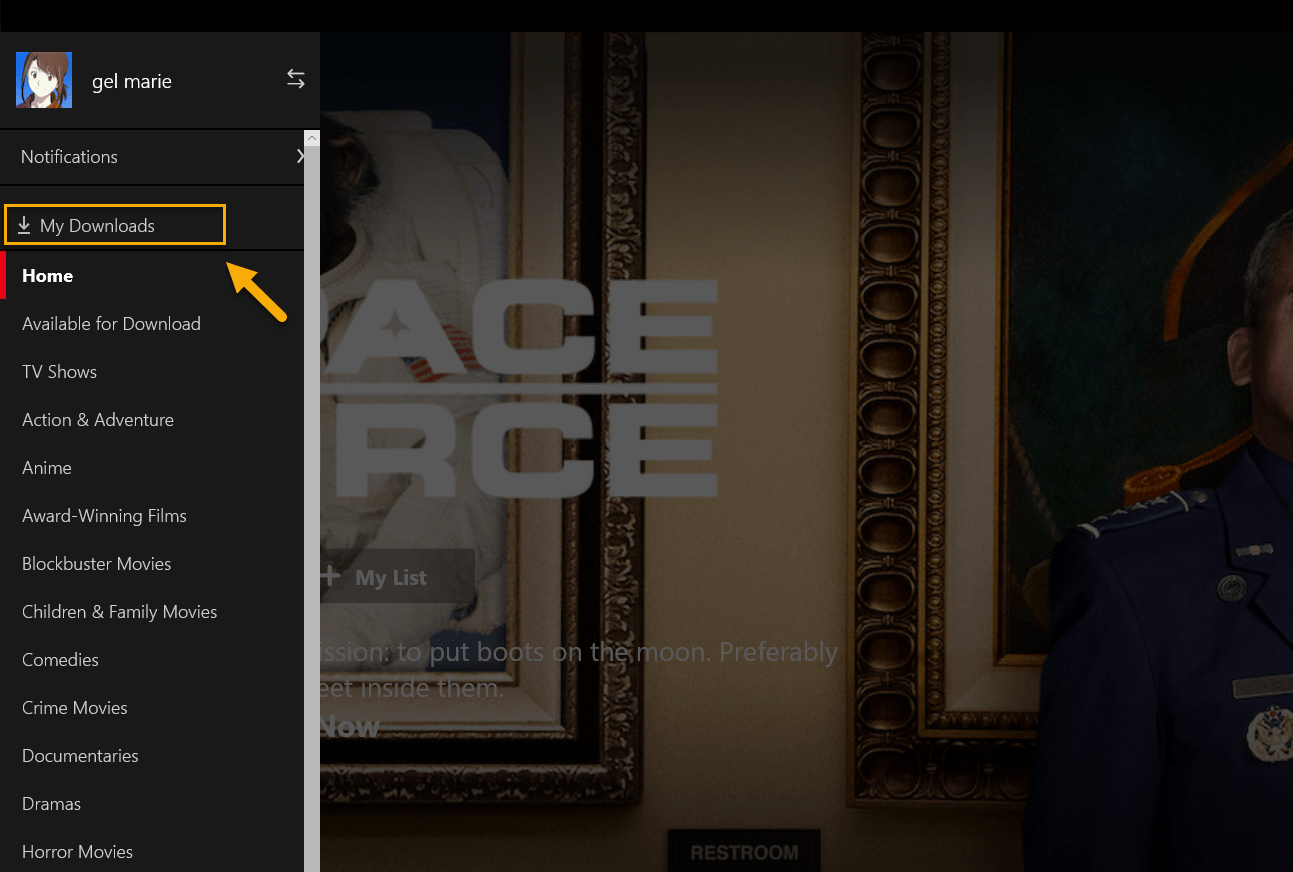 Netflix my downloads