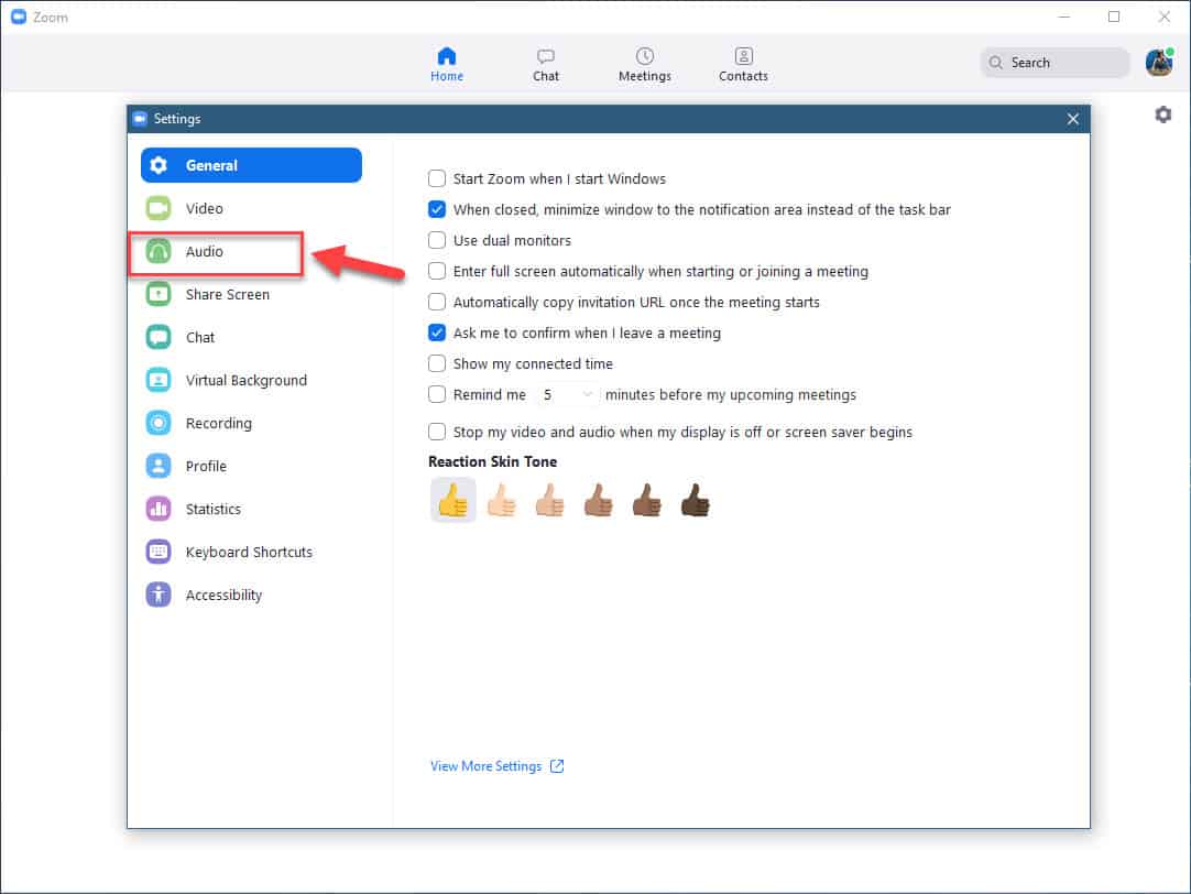 Zoom audio setting