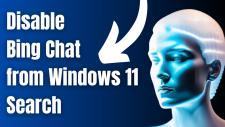 Disable Bing Chat from Windows 11 Search